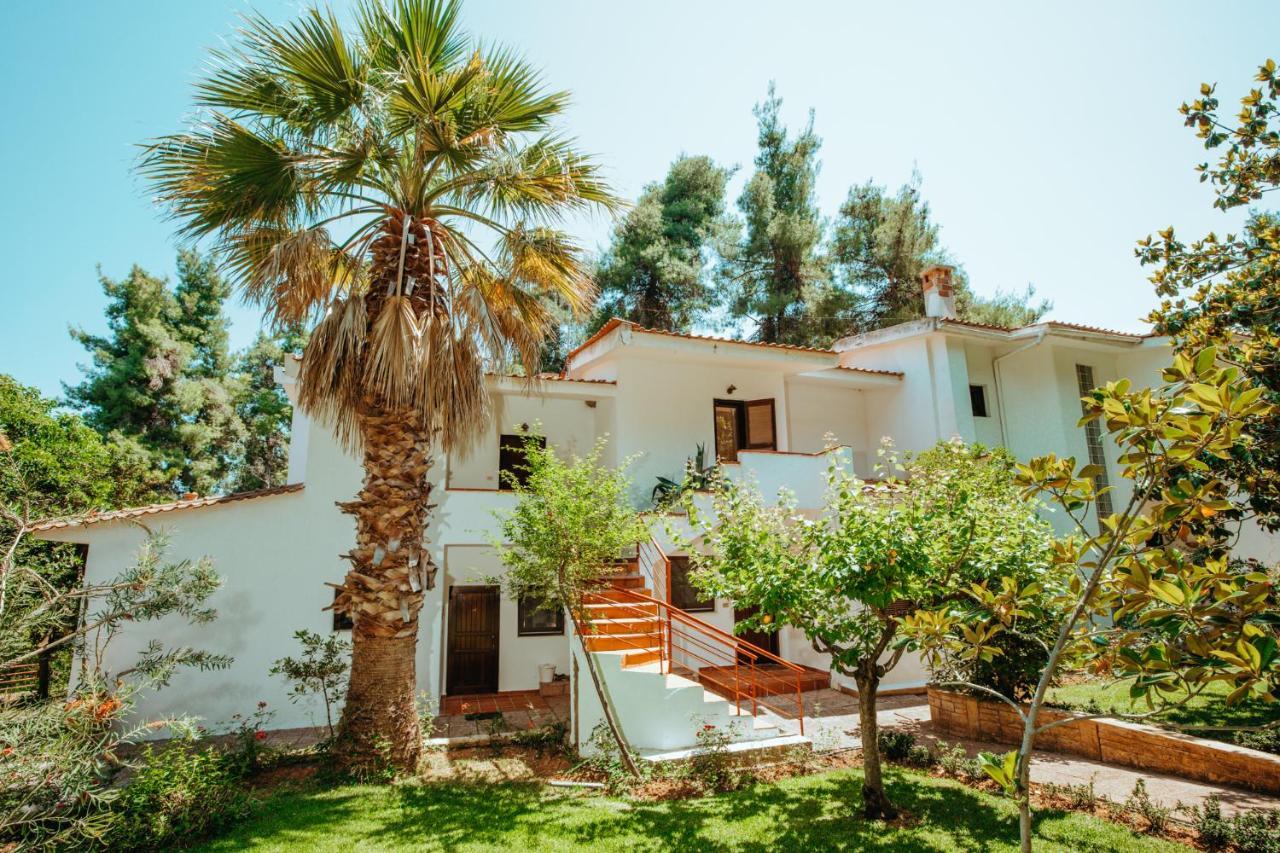 Forest House Near The Sea Sani  외부 사진